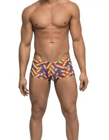 Pride Fest - Mini Short - Medium - Print