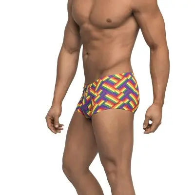 Pride Fest - Mini Short - Small - Print