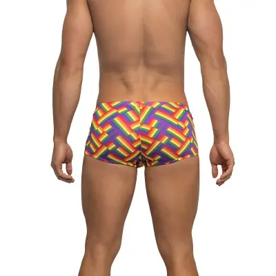 Pride Fest - Mini Short - Small - Print