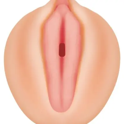 Alexis Texas Movie Download With Realistic Vagina Stroker
