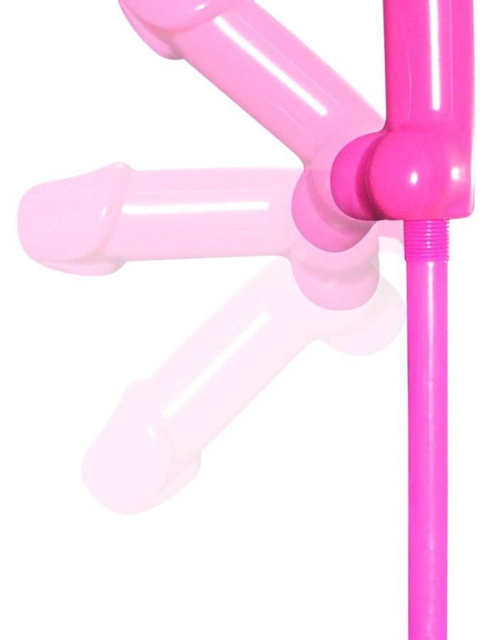 Bachelorette Party Favors Bendable Pecker Straws  - 8 Count