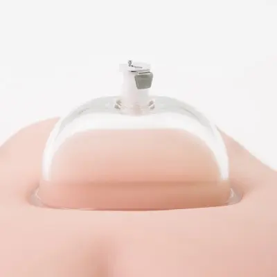 Temptasia - Advanced Pussy Pump System