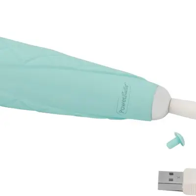 Pillow Talk Cheeky Wand With Swarovski Crystal - Teal