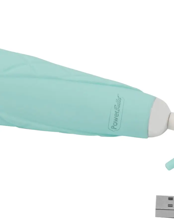 Pillow Talk Cheeky Wand With Swarovski Crystal - Teal