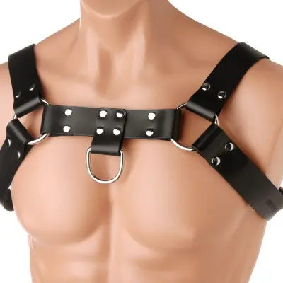 English Bull Dog Harness