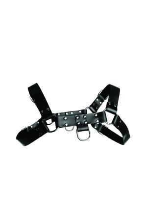 English Bull Dog Harness