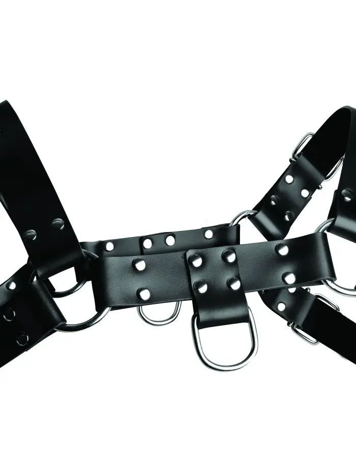 English Bull Dog Harness