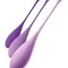 Fantasy for Her Kegel Train-Her Set