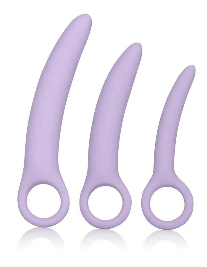 Dr. Laura Berman Alena Set of 3 Silicone Dilators