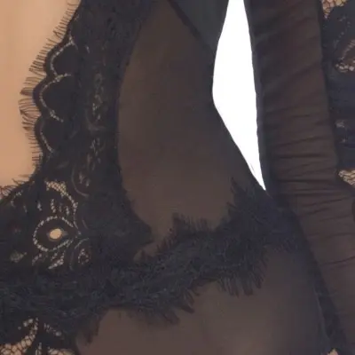 Eyelash v-Plunge Teddy With Lace Sleeves and Microfiber - Extra Large - Black