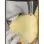 Edible Massage Oil - Pineapple - 2 Fl. Oz.