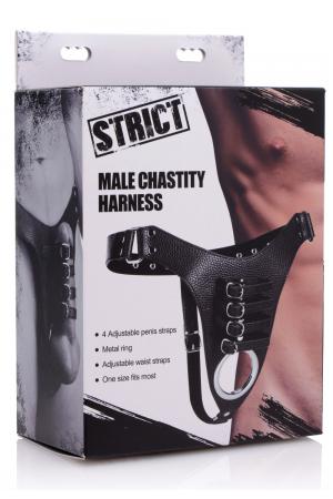 Male Chastity Harness