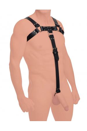 English Bull Dog Harness With Cock Strap