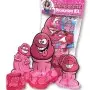 Bacherlorette Decoration Kit