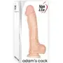 Adam and Eve Adam's Cock