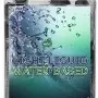 Wet Light Liquid Lubricant 36pc Display 1 Oz