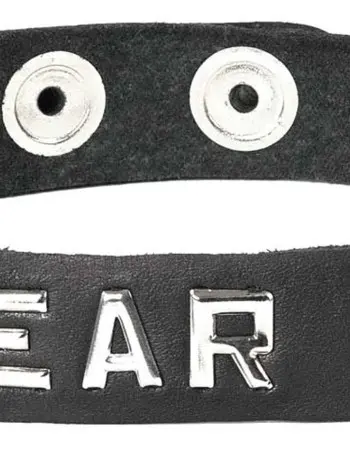 Collar - Bear