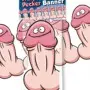 Pecker Banner Willy 3 Feet