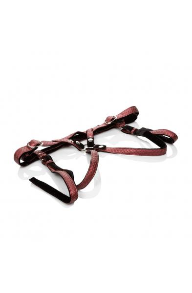 Her Royal Harness the Regal Duchess - Red