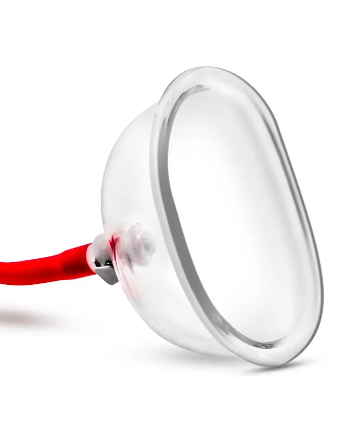Temptasia  Vulva Cup - Clear