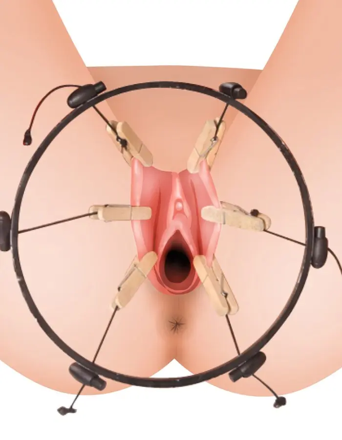 Ms the Pussy Spreader Female Bondage Device -  Bulk