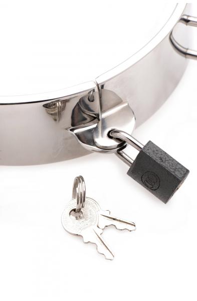 Stainless Steel Collar - 4.5 Inch