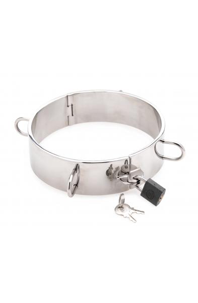 Stainless Steel Collar - 4.5 Inch