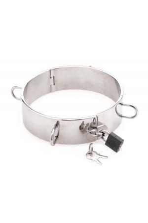 Stainless Steel Collar - 5 Inch