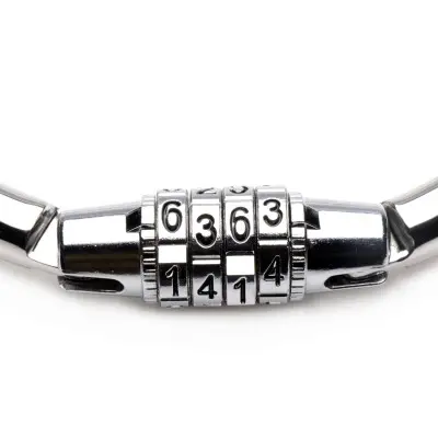Stainless Steel Combination Lock Collar