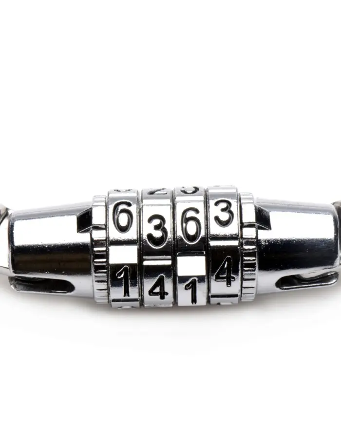 Stainless Steel Combination Lock Collar