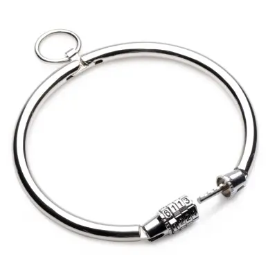 Stainless Steel Combination Lock Collar