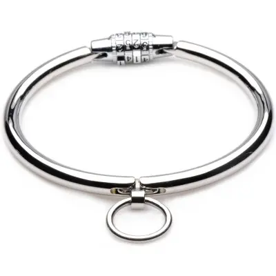 Stainless Steel Combination Lock Collar