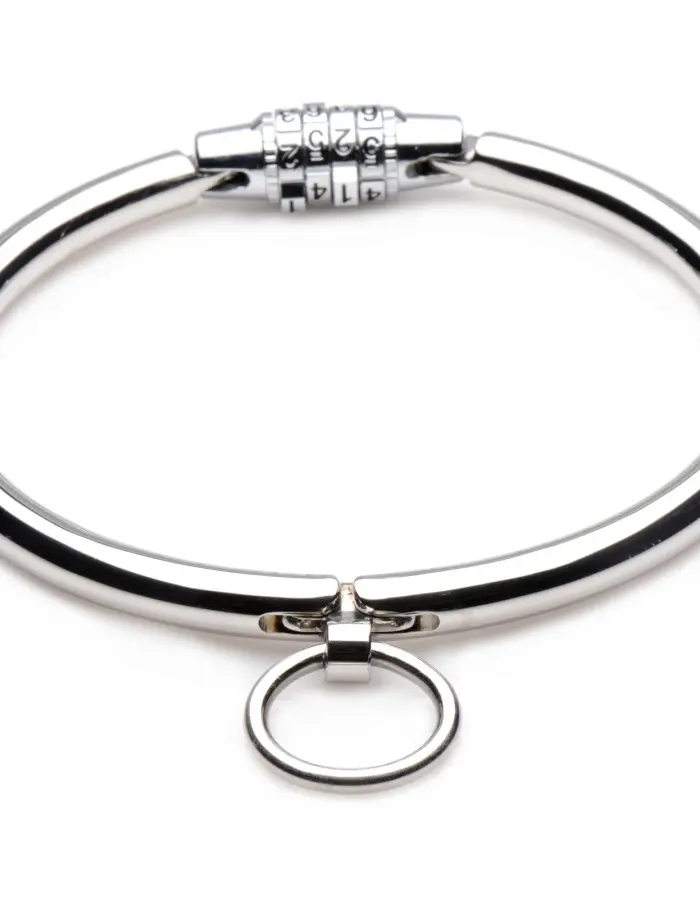 Stainless Steel Combination Lock Collar
