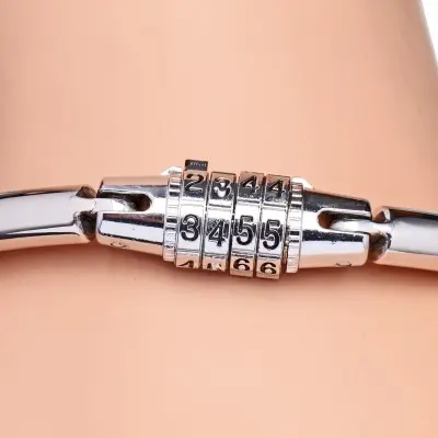 Stainless Steel Combination Lock Collar
