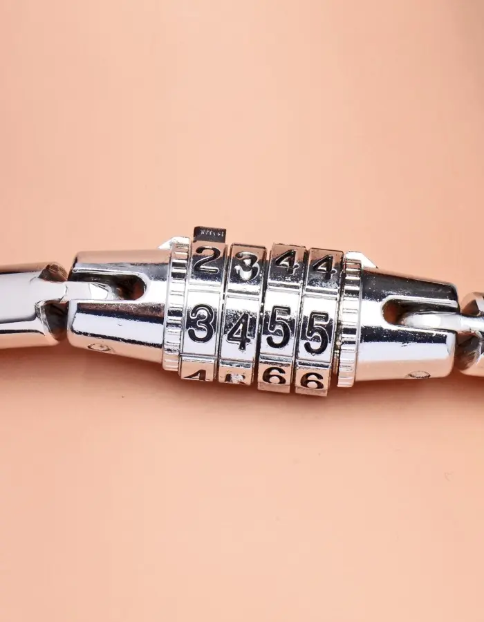Stainless Steel Combination Lock Collar