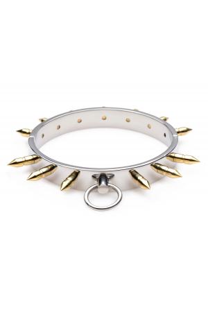 Stainless Steel Spiked Collar