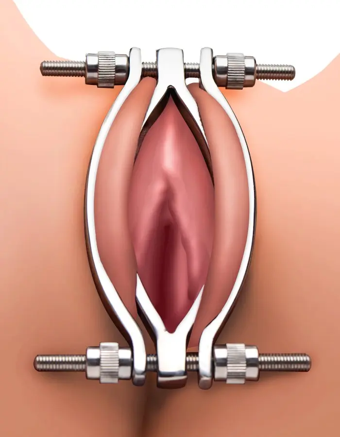 Stainless Steel Pussy Clamp - Bulk