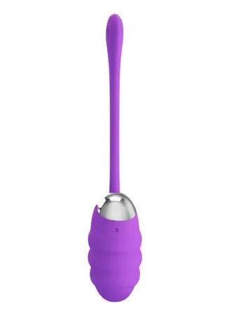 Pretty Love Franklin Rechargeable Egg Vibe - Purple