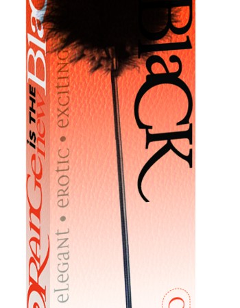 Orange Is the New Black Riding Crop and Tickler