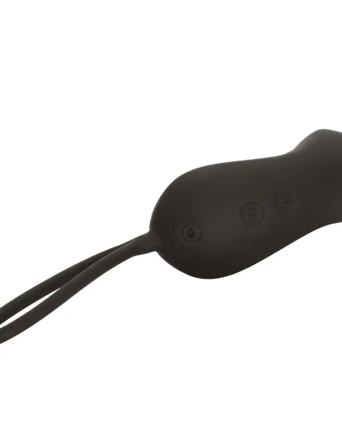 Wristband Remote Curve