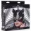 Naughty Kitty Cat Mask