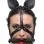 Dark Horse Pony Head Harness With Silicone Bit