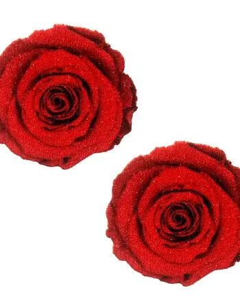 Freaking Awesome Roses Are Red Nipztix Pasties