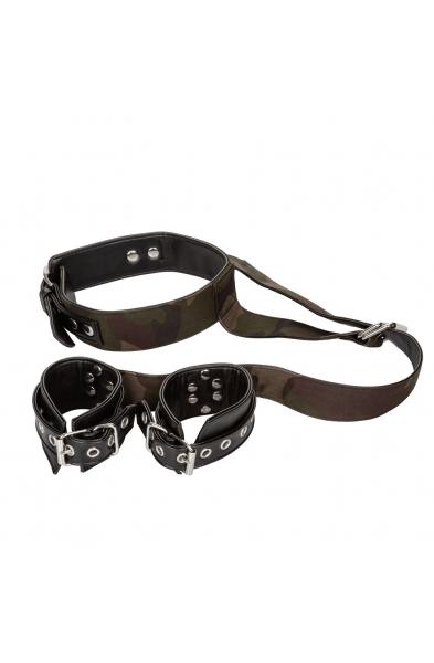 Colt Camo Collar and Cuffs