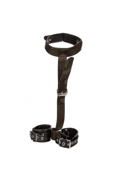 Colt Camo Collar and Cuffs