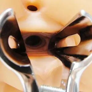 Sexflesh Down in Daphne Life Size Pussy and Ass Masturbator