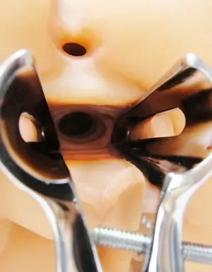 Sexflesh Down in Daphne Life Size Pussy and Ass Masturbator
