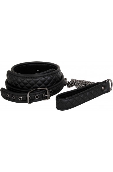 Eve's Fetish Dreams Collar and Leash