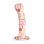 Collage - I Remember Paris - G-Spot Silicone Dildo