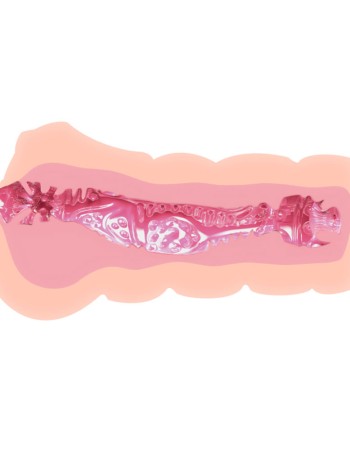 Crazy Bull Vagina Masturbator
